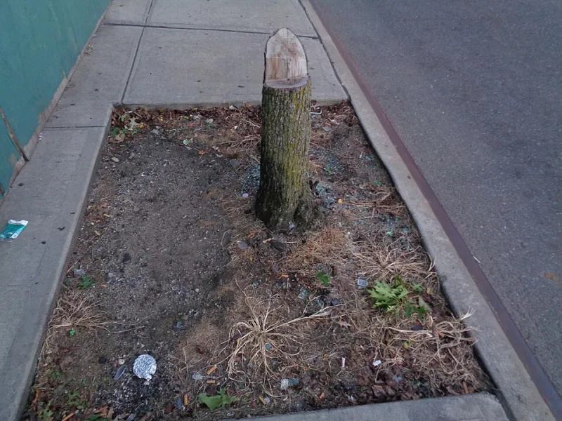 When the Fire Pit Goes Cold: Grieving the Places We Used to Gather